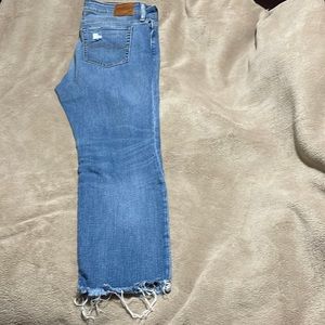 Polo Denim & Supply Morgan Crop skinny